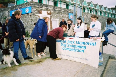 Shimabuku, Swansea Jack memorial Dog Swimming Competition, 2003, Amanda Wilkinson