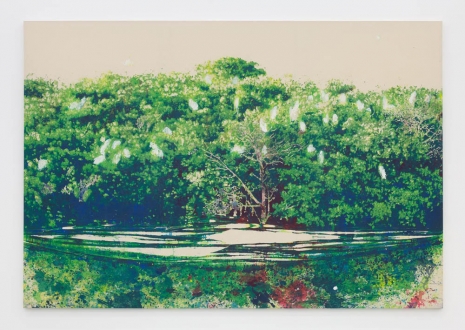Alexandre Lenoir, Les Oiseaux (mangrove), 2021 , Almine Rech