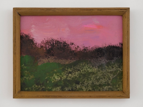 Frank Walter, Untitled (Pink and lavender sky with green foreground and brown plantings), n.d., David Zwirner