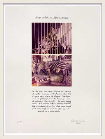 Peter Hutchinson , Stripes on Spots and Spots on Stripes, 1974 , Marian Goodman Gallery
