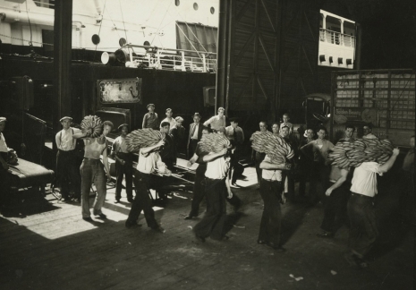Lewis Hine, This shows the prevailing method of transferring bananas from the end on the conveyor that carries them from the hold of the ship onto the dock. New York and Cuba Mail Steamship Line, Pier No. 13, East River, New York, New York, July 1937 , , Howard Greenberg Gallery