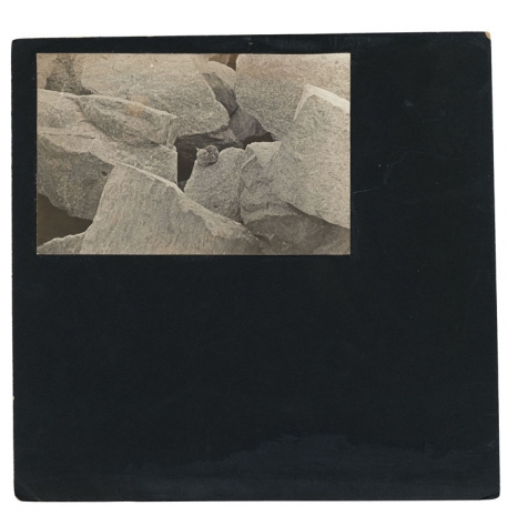 Alvin Baltrop, Cat on rocks, n.d. , Galerie Buchholz