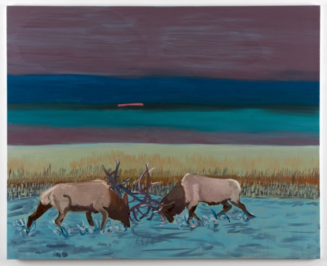 Emo Verkerk, Two American Elks at Sunset, 2020 , Luhring Augustine