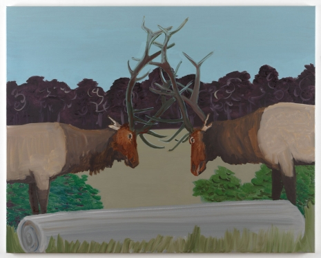 Emo Verkerk, Two American Elks, 2020 , Luhring Augustine