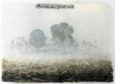 Jorge Rios, This was the first mist, 2020 , Pan American Art Projects