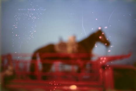 Nan Goldin, My horse, Roma, Valley of the Queens, Luxor, Egypt, 2003, Marian Goodman Gallery