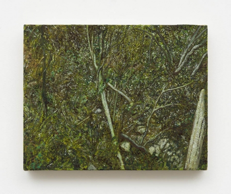 JP Munro , In Colby Canyon, 2012 - 2021 , David Kordansky Gallery