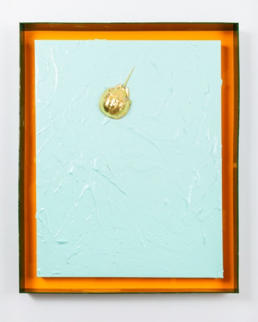 John Knuth, Golden Horseshoe Crab, 2021, Hollis Taggart