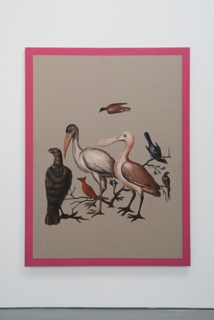 Gabriela Bettini , Sample of American Birds I, 2021 , Sabrina Amrani