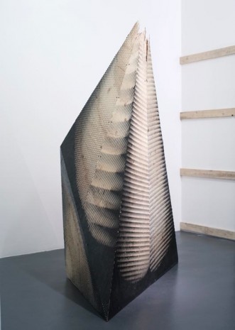 Michael DeLucia, Cone, 2012, Galerie Nathalie Obadia