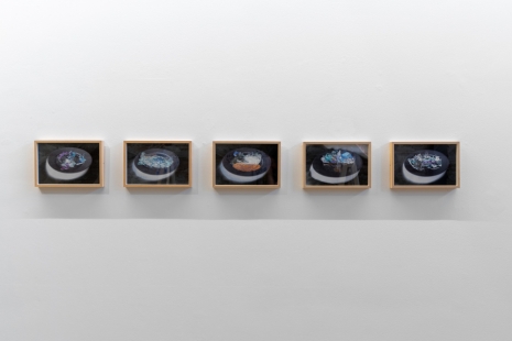 Gayle Chong Kwan, Plates, 2021, Galerie Alberta Pane