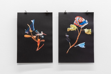 Gayle Chong Kwan, Herbarium, 2021, Galerie Alberta Pane