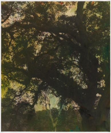 Erik Steffensen, pastel southern trees, 2021  , Galleri Bo Bjerggaard