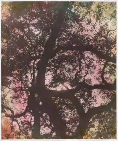 Erik Steffensen, pink southern trees, 2021  , Galleri Bo Bjerggaard