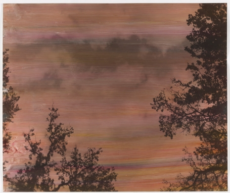 Erik Steffensen, sky between trees, 2021  , Galleri Bo Bjerggaard