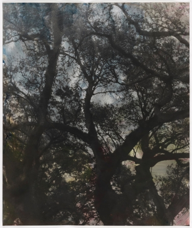 Erik Steffensen, grey southern trees, 2021, Galleri Bo Bjerggaard