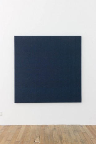Willem de Rooij, Blue, 2012, Galerie Chantal Crousel
