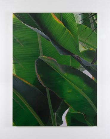 Marcel Vidal, Banana VI, 2021, Kerlin Gallery