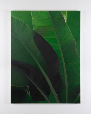 Marcel Vidal, Banana VII, 2021, Kerlin Gallery