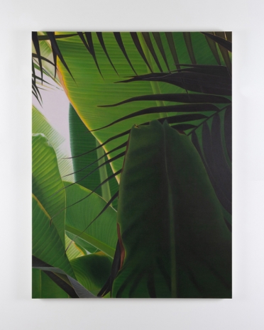 Marcel Vidal, Banana VIII, 2021, Kerlin Gallery