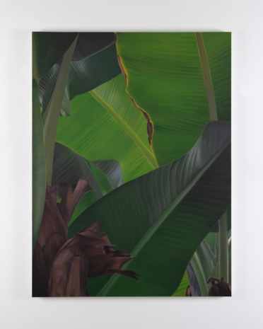 Marcel Vidal, Banana IX, 2021, Kerlin Gallery
