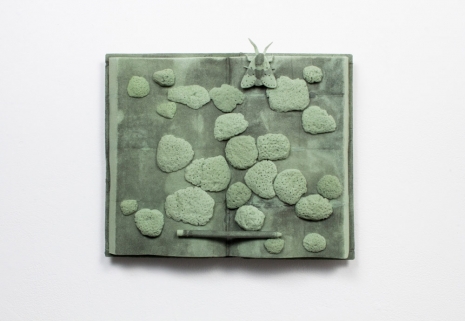 Jenna Beasley , Object Affect 2 (book), 2020  , Hauser & Wirth