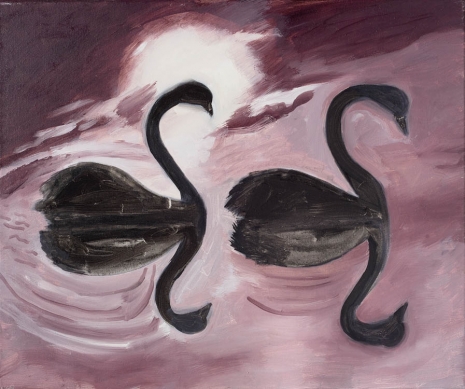 Katrin Plavčak, Black swan theory, 2020 , Galerie Mezzanin
