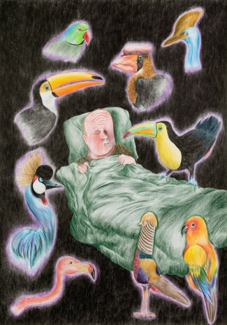 Dennis Tyfus, The Birds, 2020, Tim Van Laere Gallery
