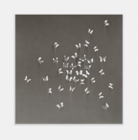 Claudio Parmiggiani, Untitled, 2021 , Simon Lee Gallery