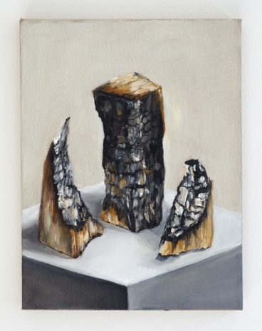 Fabrice Samyn, Oracle Logs, 2021 , Sies + Höke Galerie