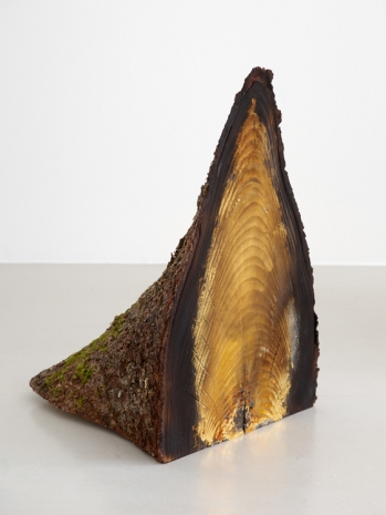 Fabrice Samyn, The Iconoclast Tree, 2021 , Sies + Höke Galerie