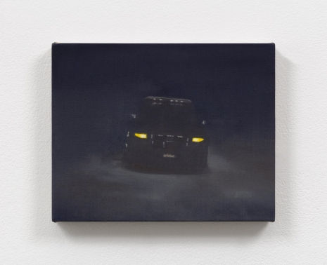 Dana Powell, Night watch, 2021 , Tanya Bonakdar Gallery