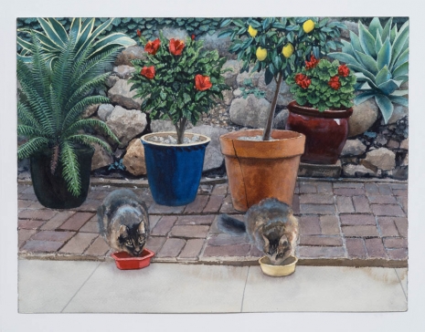 Tim Gardner, Two Cats Eating Breakfast, 2020 , 303 Gallery