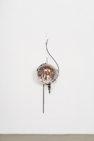 David Douard, Lick'ng a'n 0rchiD 1 -, 2021, Galerie Chantal Crousel