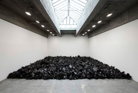 Olafur Eliasson, Your disappearing garden , 2011, Tanya Bonakdar Gallery