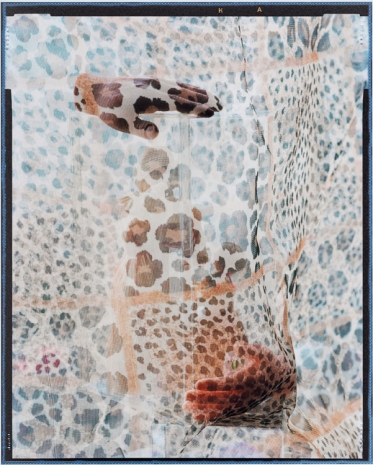 Ketuta Alexi-Meskhishvili , patterns of an unstable frame, 2019 , Capitain Petzel