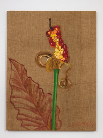 Marcia Schvartz , Flor de río (River flower), 2004 , Bortolami Gallery
