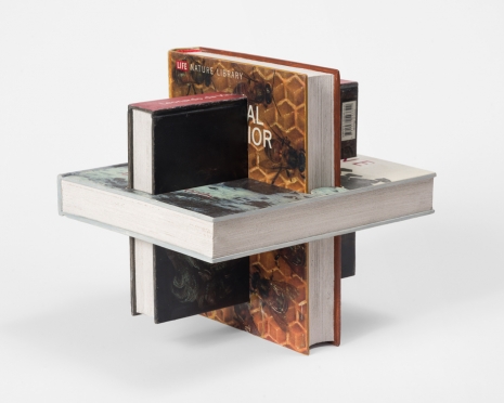 Matt Johnson, 3 Intersecting Books (Andy Goldsworthy, Animal Behavior, Leonardo da Vinci), 2020 , 303 Gallery