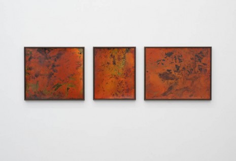 Thu Van Tran, From green to orange, 2012, Meessen De Clercq