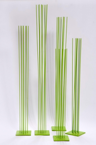 Carolina Sardi, Greener Grass, 2011, Pan American Art Projects