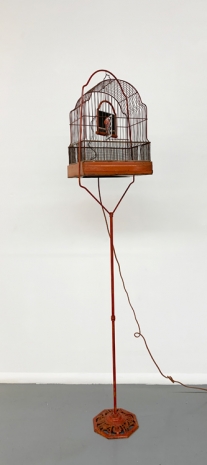 Troy Abbott, Seeing Red, 2014, Pan American Art Projects