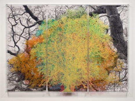 Charles Gaines   ,  Numbers and Trees: London Series 1, Tree #10, John Carpenter Street, 2021, Hauser & Wirth