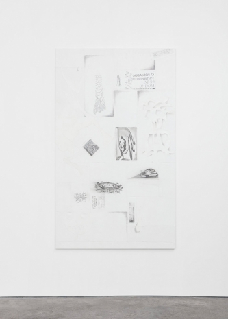 Loucia Carlier, Tardis 1, 2021 , Art : Concept