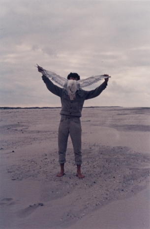 Lothar Baumgarten, Albatros, 1968, Marian Goodman Gallery