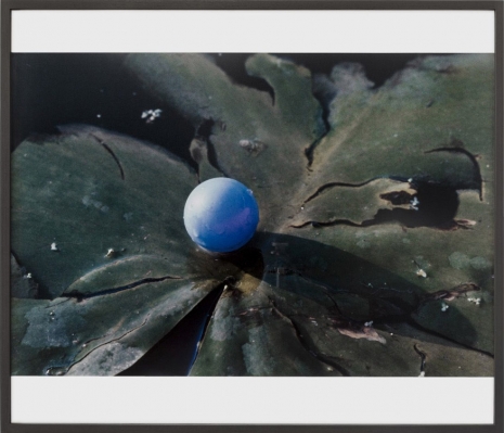 Lothar Baumgarten, Pupille (Eye Ball), 1968, Marian Goodman Gallery