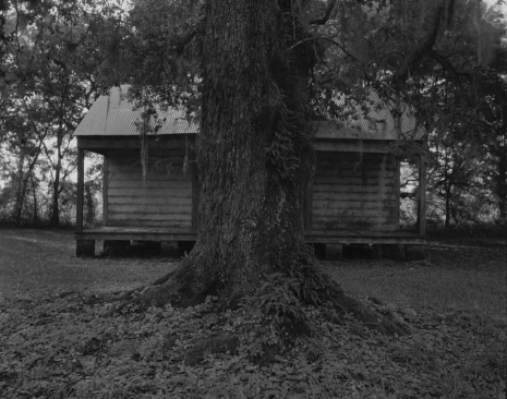 Dawoud Bey, Tree and Cabin, 2019, Sean Kelly