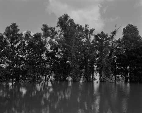 Dawoud Bey, Mississippi River and Trees, 2019, Sean Kelly