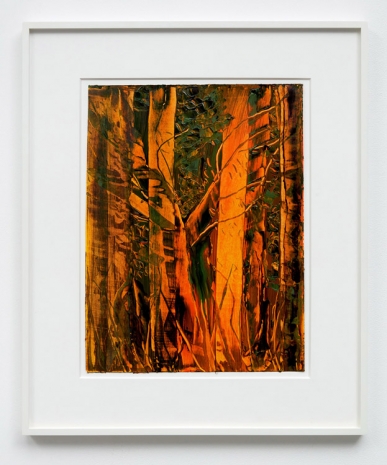 Matthew Wong , Forest Light (Dedicated to Cezanne), 2019 , Modern Art