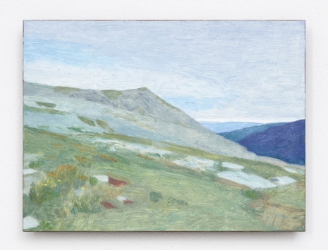 Eleanor Ray , Alpine Sedge Meadow, 2021 , Modern Art