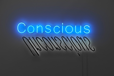 Cornelia Parker, Ghost Notes: Conscious/Unconscious, 2021, Wilde